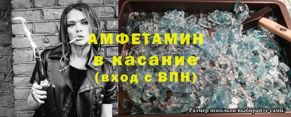 гидра Алексеевка