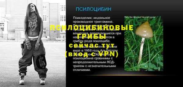 apvp Фурманов