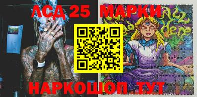 мяу мяу мука Аргун