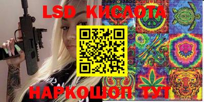 мяу мяу мука Аргун