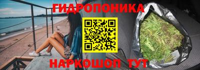 мяу мяу мука Аргун