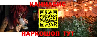 мяу мяу мука Аргун