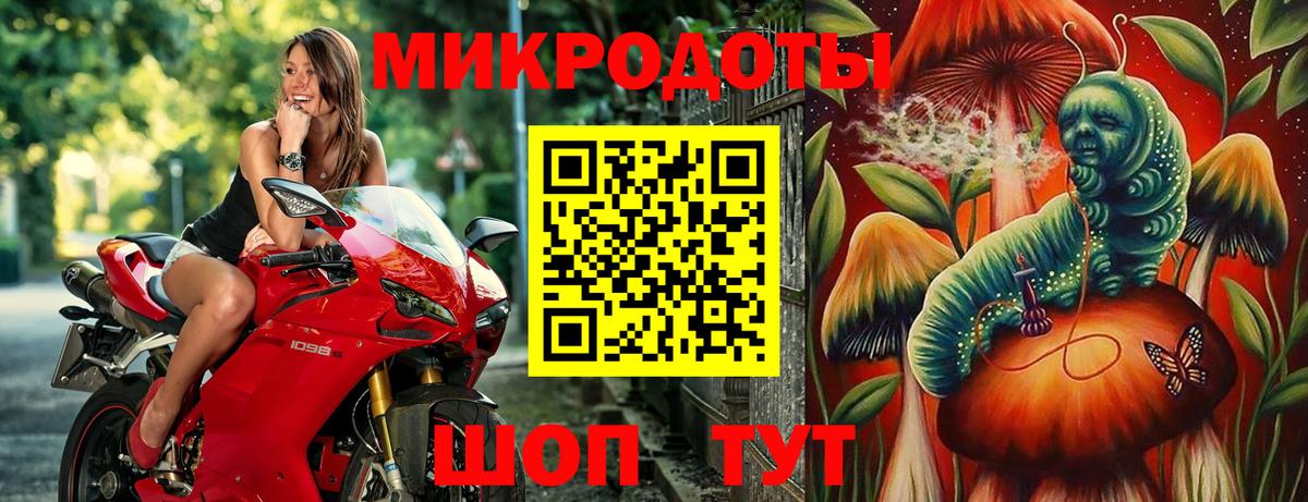 Галлюциногенные грибы Psilocybe Нижневартовск