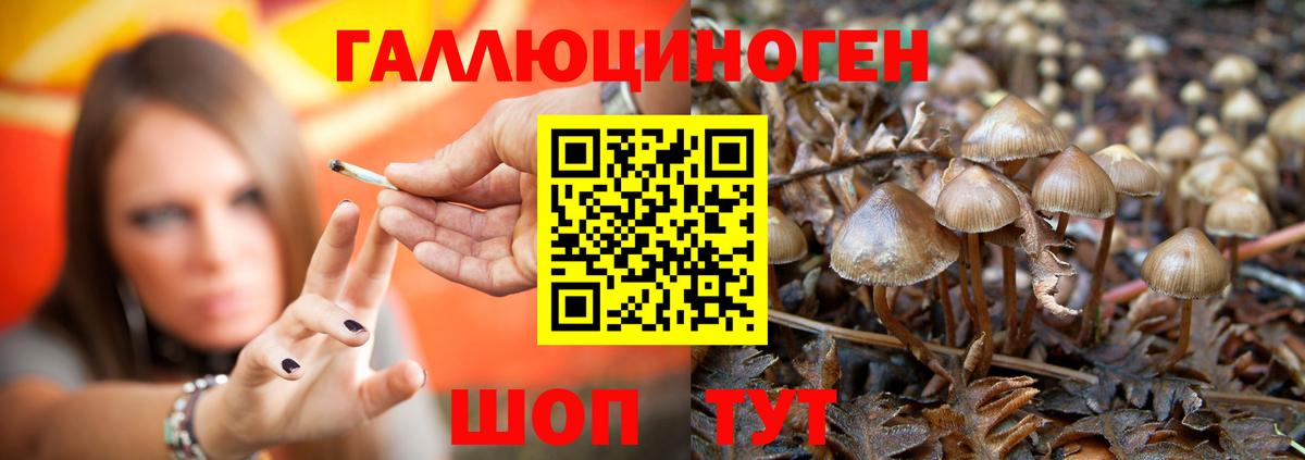 Галлюциногенные грибы Cubensis  Вход с VPN  Нижневартовск 